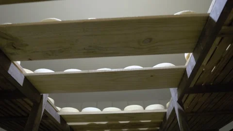 Fresh Serra da Canastra White Cheese that is being cured in a cellar Stock Footage 258683988