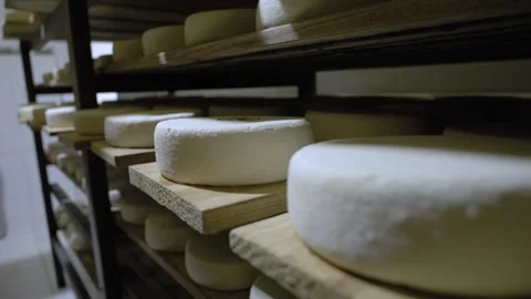 Fresh Serra da Canastra White Cheese that is being cured in a cellar Stock Footage 258684025