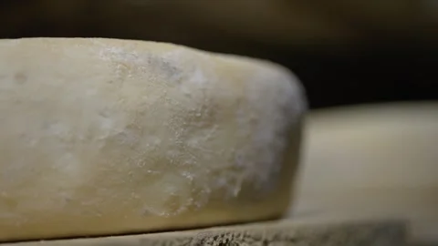 Fresh Serra da Canastra White Cheese that is being cured in a cellar Stock Footage 258684038