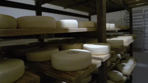 Fresh Serra da Canastra White Cheese that is being cured in a cellar Stock Footage 258684077