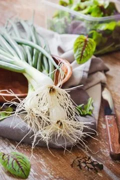 Fresh shallot Stock Photos