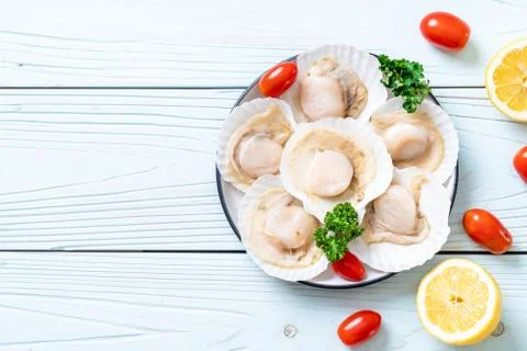 Fresh shell scallop Foto stock