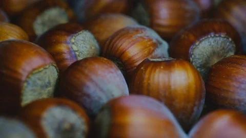 Fresh Shelled Hazelnuts - Macro Shot. Organic Nuts Rich in Natural Dietary Fiber Stock Footage 126826783