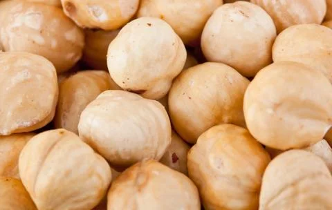 Fresh shelled hazelnuts Stock Photos
