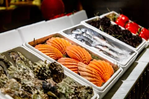 Fresh shells and fish are on the counter in the market. Stock Photos