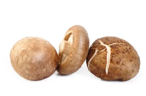 Fresh shiitake Stock Photos