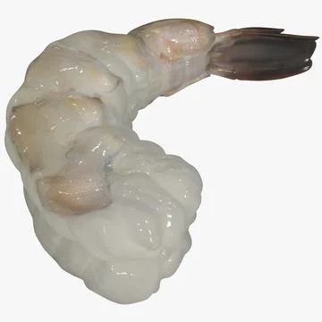 Fresh Shrimp 2 3D Model