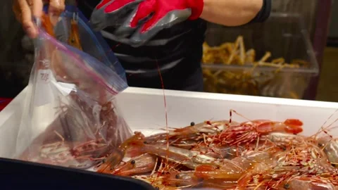 Fresh shrimp caught from the sea Stock Footage 243907752