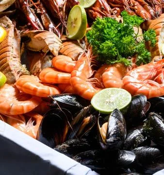 Fresh Shrimp on a Clean Surface Fotos Stock