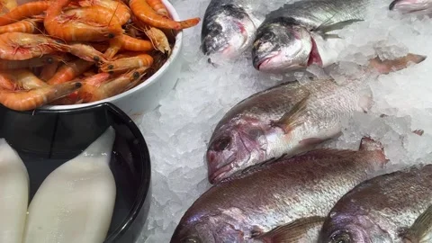 Fresh Shrimp Fish And Squid Displayed Together On Market Ice Stock Footage 344034347