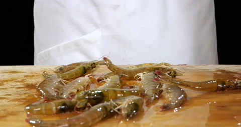 Fresh shrimp 库存影片 168607622