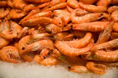 Fresh shrimp Stock Photos