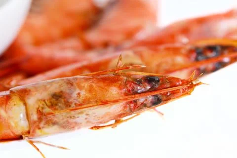 Fresh shrimp Stock Photos