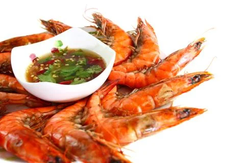 Fresh shrimp Stock Photos