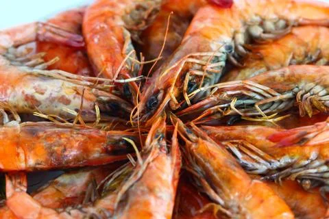 Fresh shrimp Stock Photos