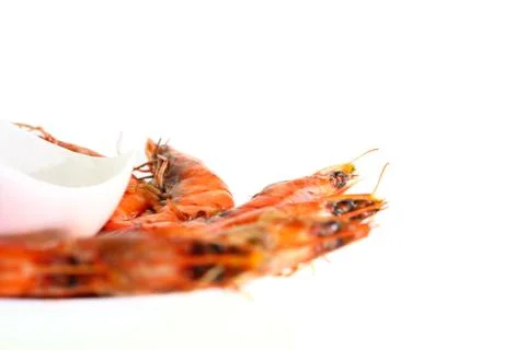 Fresh shrimp Stock Photos