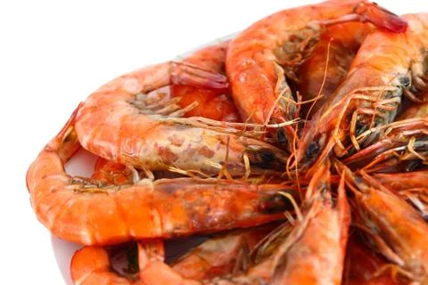 Fresh shrimp Stock Photos