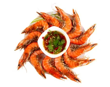 Fresh shrimp Stock Photos
