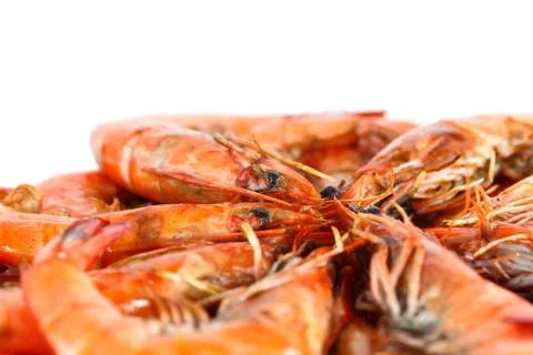 Fresh shrimp Stock Photos