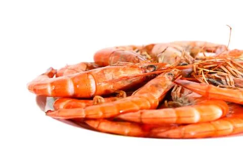 Fresh shrimp Stock Photos