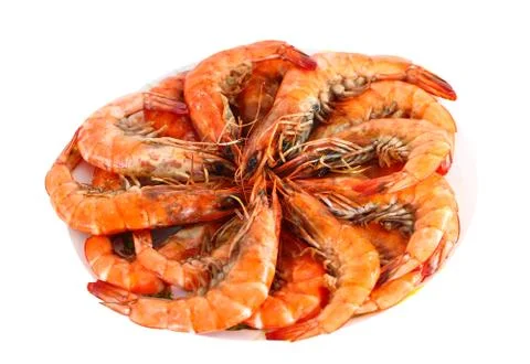 Fresh shrimp Stock Photos
