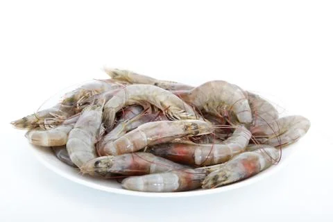 Fresh shrimp Stock Photos