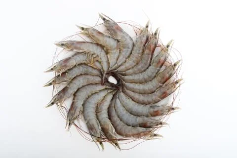 Fresh shrimp Stock Photos
