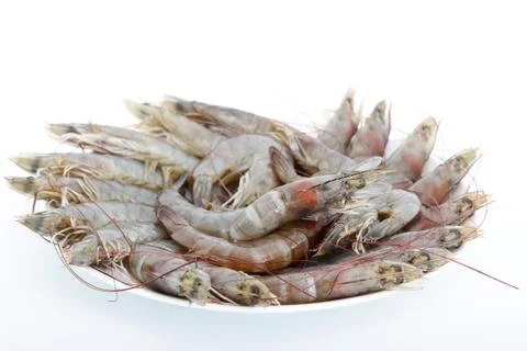 Fresh shrimp Stock Photos