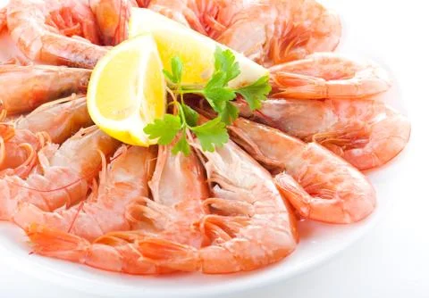 Fresh shrimp Stock Photos