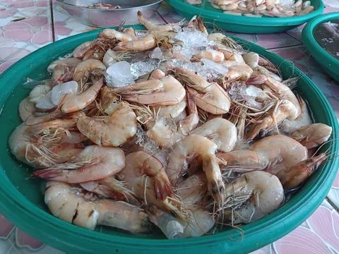 Fresh shrimp Stock Photos