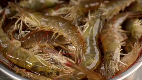 Fresh shrimp production Stock Footage 274466764