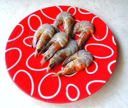 Fresh shrimp ready to be processed on a red plate with a white circle pattern Stock Photos