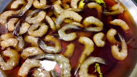 Fresh Shrimp in Savory Sauce Stock Footage 342500276