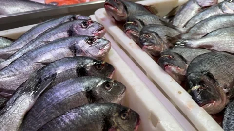 Fresh Silver Fish Displayed on Ice at Seafood Market Counter Stock Footage 332556398