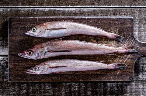 Fresh Silver Hake Stock Photos