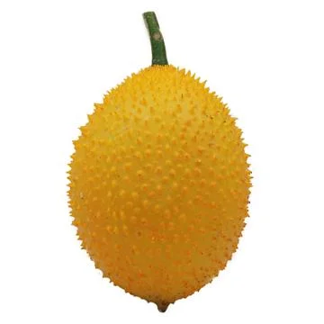 Fresh single Gac fruit isolated on white background Stock Photos