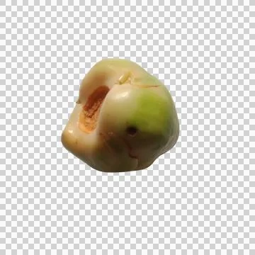Fresh single green pea vegetable isolated on a plain background Фото