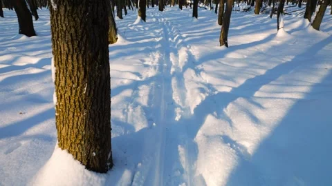 Fresh ski tracks cut through pristine white snow. Vídeo Stock 327686478