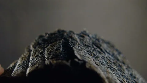 Fresh slice of black bread is broken open in slow motion at 120 fps Stock Footage 101729423