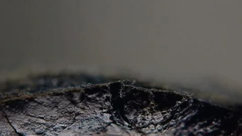 Fresh slice of black bread is broken open in slow motion at 120 fps Stock Footage 101729670