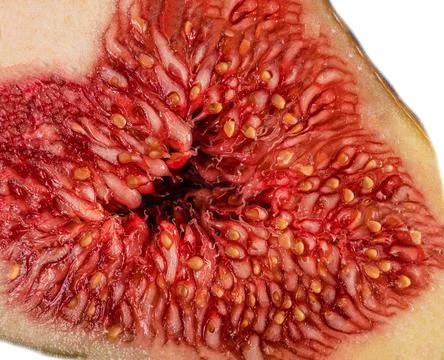 Fresh slice of figs on blue background is insulated. Foto stock