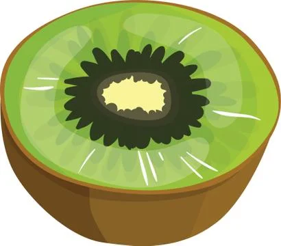 Fresh slice kiwi on white background - vector - eps Stock Illustration