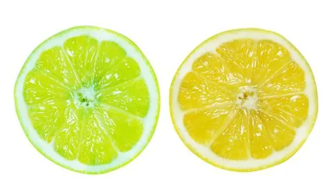 Fresh slice of Lemon Stock Photos