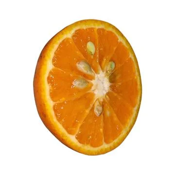 Fresh Slice Orange White Background 스톡 사진