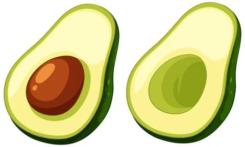 Fresh Sliced Avocado Vector Illustration with Seed and Pit Illustration