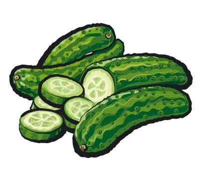 Fresh sliced cucumbers Illustrazione stock