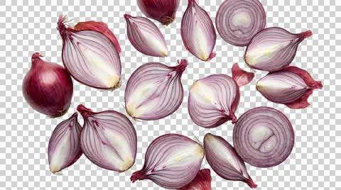 Fresh sliced red shallots on a flat surface Ilustración de archivo