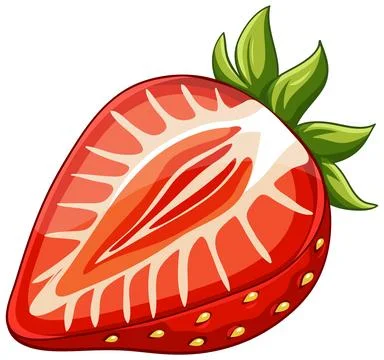 Fresh Sliced Red Strawberry Vector Illustration on White Background Stock Illustration