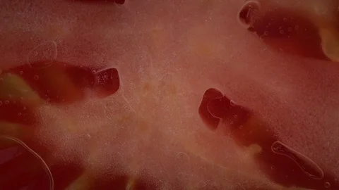 Fresh sliced tomato falling in slow motion Video stock 83486339