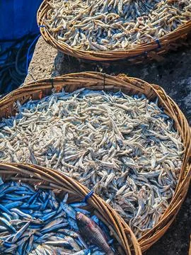 Fresh small fish displayed in traditional woven bamboo baskets at sunny fish Foto stock
